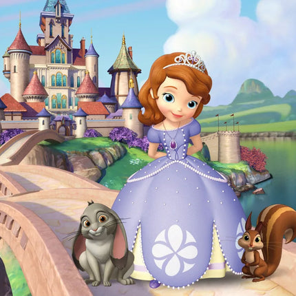 Girl Princess Sofia the First Background Cloth Birthday Baby Shower Decoration Background Room Hanging Cloth Photo Background