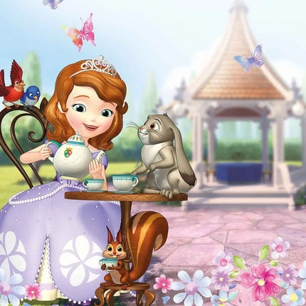 Girl Princess Sofia the First Background Cloth Birthday Baby Shower Decoration Background Room Hanging Cloth Photo Background