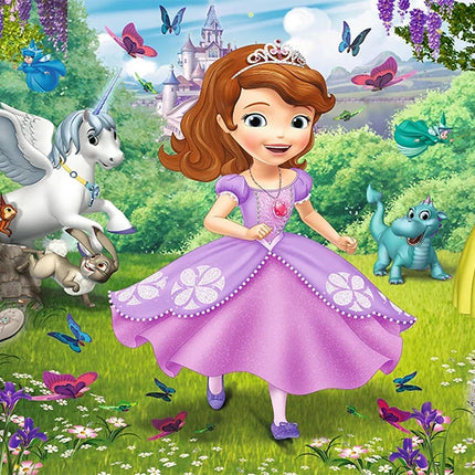 Girl Princess Sofia the First Background Cloth Birthday Baby Shower Decoration Background Room Hanging Cloth Photo Background
