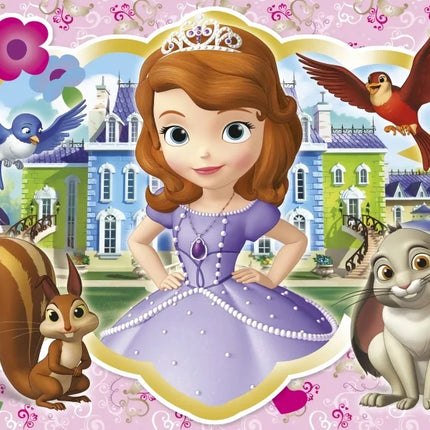 Girl Princess Sofia the First Background Cloth Birthday Baby Shower Decoration Background Room Hanging Cloth Photo Background