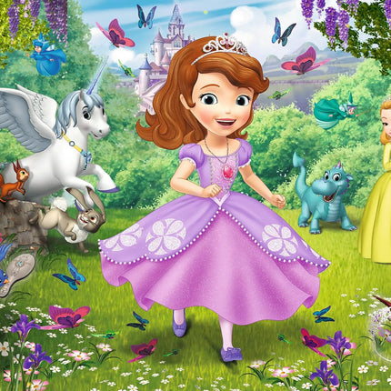 Girl Princess Sofia the First Background Cloth Birthday Baby Shower Decoration Background Room Hanging Cloth Photo Background