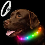 Colorful Collar / 65CM