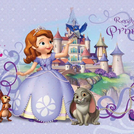 Girl Princess Sofia the First Background Cloth Birthday Baby Shower Decoration Background Room Hanging Cloth Photo Background