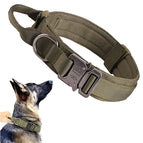 Green Collar / L Neck 45-55CM