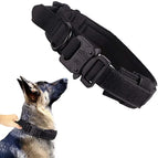 Black Collar / M Neck 38-47CM