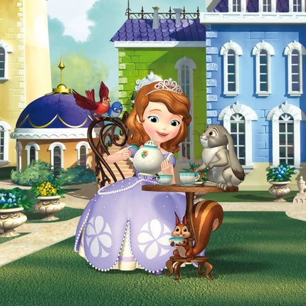 Girl Princess Sofia the First Background Cloth Birthday Baby Shower Decoration Background Room Hanging Cloth Photo Background