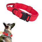 Red Collar / XL Neck53-63CM