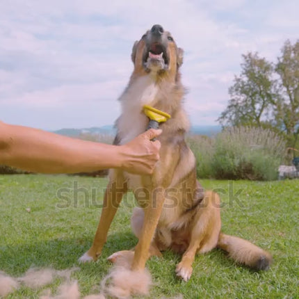 Pet Hair Remover Roller for cat and dog fur